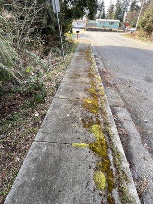 Sidewalk cleaning - Customer called to get the sidewalk done in front of their house. Hasn’t been cleaned for years. They were very satisfied with the end result. Sidewalk cleaning - Customer called to get the sidewalk done in front of their house. Hasn’t been cleaned for years. They were very satisfied with the end result.