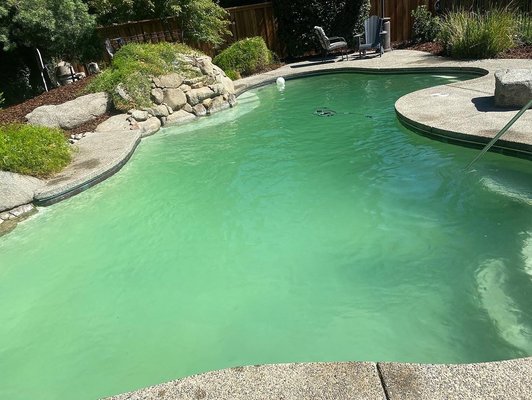 Green to Clean - Done by Royal Pool Service! 👍 Green to Clean - Done by Royal Pool Service! 👍
