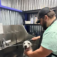 Happy Customers - Happy customers grooming their pooch at the Parker County Pooch Parlor! Happy Customers - Happy customers grooming their pooch at the Parker County Pooch Parlor!
