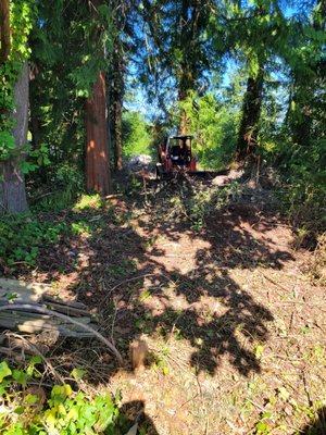 clearing for a new gravel drive - This was a new drive so our customer had access to the back of their property. clearing for a new gravel drive - This was a new drive so our customer had access to the back of their property.