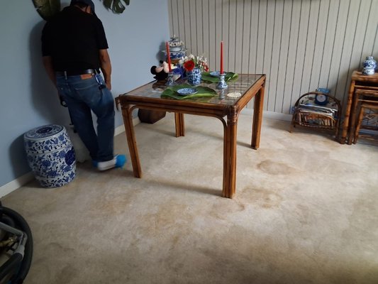 7 YEARS OF NOT CLEANING THIS CARPET WITH DOG PEE. - 7 years not cleaned, with continuous dog peeing .
we were able to clean it to almost look like new. 7 YEARS OF NOT CLEANING THIS CARPET WITH DOG PEE. - 7 years not cleaned, with continuous dog peeing .
we were able to clean it to almost look like new.