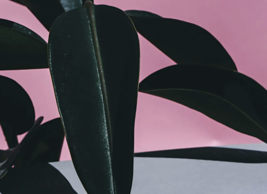 What is Reiki? - Reiki is a Japanese system of channeling universal life force energy. Reiki can assist with balancing and grounding the mind and body.

How is Reiki given?          

Reiki is given in person or distantly.

Reiki is performed fully clothed.

The practitioner transfers the universal energy  by soft touch  

    The health benefits of reiki

 According to Cleveland Clinic https://health.clevelandclinic.org/reiki/

Reiki promotes relaxation, stress reduction and symptom relief to improve overall health and well-being. It can:

Bring on a meditative state.
Foster tissue and bone healing after injury or surgery.
Stimulate your body’s immune system.
Promote natural self-healing.  
Relieve pain and tension.
Support the well-being of people receiving traditional medical treatments such as chemotherapy, radiation, surgery and kidney dialysis.