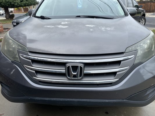 Paint Correction - Paint Oxidation Paint Correction - Paint Oxidation
