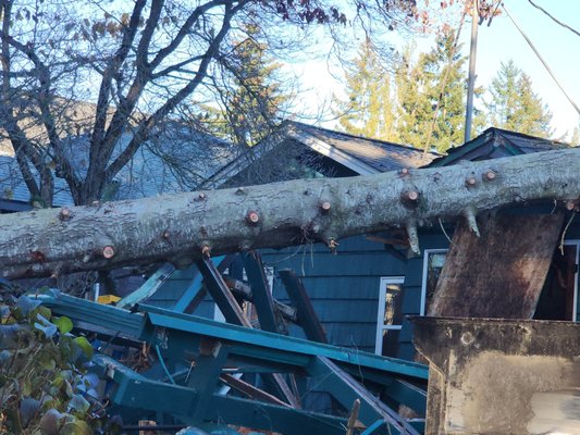 Emergency Work - This was an emergency response where a tree fell on a house and we were safely able to remove it using our team and a large crane.