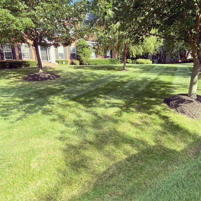 Landscape design - We do our best to make the customer happy