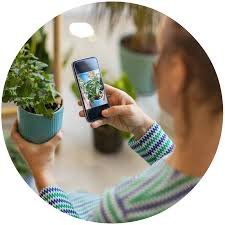 Plant Consulting - Live via Zoom! - Live via Zoom.
Whether your questions are about how to care for your specific plants, how to diagnose common problems so you can bring your green babies back into the pink of health, or which plants are best for your conditions, and more—I can help. Plant Consulting - Live via Zoom! - Live via Zoom.
Whether your questions are about how to care for your specific plants, how to diagnose common problems so you can bring your green babies back into the pink of health, or which plants are best for your conditions, and more—I can help.