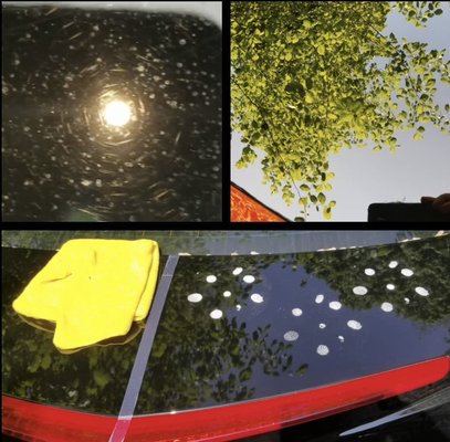 Paint correction - This a picture of step by step how a paint correction works. Get your paint looking brand new with our competition level paint paint correction skills. Paint correction - This a picture of step by step how a paint correction works. Get your paint looking brand new with our competition level paint paint correction skills.