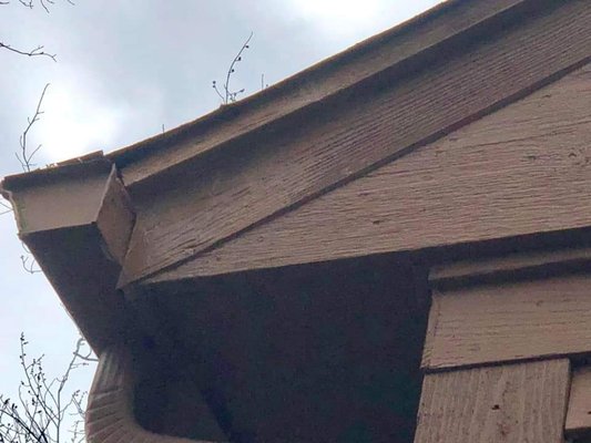 Squirrel Damage- Also repairs for Woodpeckers - Squirrels are so cute! Yes, I know, we all love squirrels. Until you're dealing with them chewing through your home, or they make racket all day.
This squirrel made a hole and was storing nuts. Homeowner wanted a permanent solution. That is metal.
The metal is painted and textured to match.
We do recommend repairing both sides at the same time for prevention.
Call Mighty Men for prompt and fast service
925 725 5392 Squirrel Damage- Also repairs for Woodpeckers - Squirrels are so cute! Yes, I know, we all love squirrels. Until you're dealing with them chewing through your home, or they make racket all day.
This squirrel made a hole and was storing nuts. Homeowner wanted a permanent solution. That is metal.
The metal is painted and textured to match.
We do recommend repairing both sides at the same time for prevention.
Call Mighty Men for prompt and fast service
925 725 5392