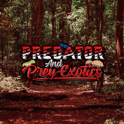Visit Us Today! - Predator and Prey is a locally owned exotic pet store in Albuquerque, New Mexico focused on providing the community with the best supplies and the most vibrant, and healthy animals in town. Offering a wide veriety of exotic pet supplies, we want your animals to thrive not survive. We work day and night to ensure our animals are kept correctly. We only purchase supplies from reputable sources to ensure the animals we sell to our clients are the best around. Our feeders are on all organic diets. Ensuring we follow through with our commitment to offering the best products and animals in the United States. Visit Us Today! - Predator and Prey is a locally owned exotic pet store in Albuquerque, New Mexico focused on providing the community with the best supplies and the most vibrant, and healthy animals in town. Offering a wide veriety of exotic pet supplies, we want your animals to thrive not survive. We work day and night to ensure our animals are kept correctly. We only purchase supplies from reputable sources to ensure the animals we sell to our clients are the best around. Our feeders are on all organic diets. Ensuring we follow through with our commitment to offering the best products and animals in the United States.