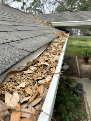 2106 Gutter Cleaning - We installed two new down spouts and cleaned out this customer's gutters!