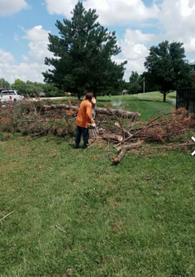 Tree Removal - Call For A Free Estimate