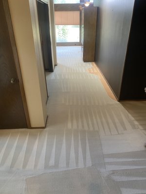 Custom Luxury Carpet Cleaning - This project was done for a beautiful home that had custom wool carpets and Berber carpets throughout. The home was being prepared for selling, and Royalty Carpet & Tile Cleaning was there to help the beauty shine. Custom Luxury Carpet Cleaning - This project was done for a beautiful home that had custom wool carpets and Berber carpets throughout. The home was being prepared for selling, and Royalty Carpet & Tile Cleaning was there to help the beauty shine.