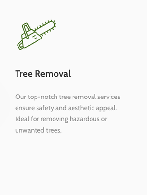 Tree Removal - Call to schedule a free estimate!