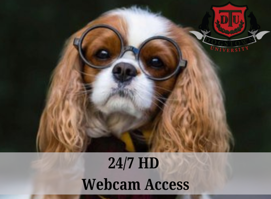 32 HD Cameras! - Call today!