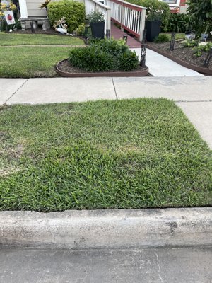 Fresh curb paint Texas style - This curb had no address numbers painted, customer was so pleased with the final result and had me do her other property as well