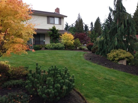 yard work - different yards front and back thqt i have worked on in the past, offering customizable solutions yard work - different yards front and back thqt i have worked on in the past, offering customizable solutions