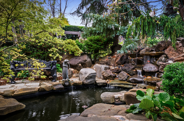 From Overwhelmed to Peace of Mind: A Saratoga Landscape Transformation - Comprehensive estate landscape management designed to keep a Saratoga property healthy, beautiful, and effortless to maintain. From irrigation and plant health to lighting and seasonal care, our team delivers proactive service that protects the homeowner's investment and preserves the beauty of the landscape year-round. From Overwhelmed to Peace of Mind: A Saratoga Landscape Transformation - Comprehensive estate landscape management designed to keep a Saratoga property healthy, beautiful, and effortless to maintain. From irrigation and plant health to lighting and seasonal care, our team delivers proactive service that protects the homeowner's investment and preserves the beauty of the landscape year-round.