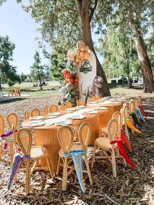 bunny chair and tables, kids table and chair - kids bunny chair and tables, perfect for your aesthetic events. we turned bunny into dinosaur chairs for a dinosaur birthday party.