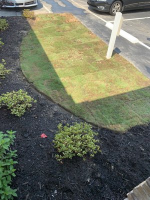 Landscape Install - This is a job we did for a local mobile home sells office, we tore out a old irrigation system and replaced it a brand new system. We tore out old grass that was mounded up and ugly and reinstalled new sod and leveled out the lawn. Landscape Install - This is a job we did for a local mobile home sells office, we tore out a old irrigation system and replaced it a brand new system. We tore out old grass that was mounded up and ugly and reinstalled new sod and leveled out the lawn.