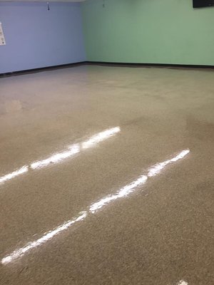 Commercial Floor Cleaning - Our goal is to get your business's floor so clean that they look like glass. One hundred percent of customers want establishments with clean floors, let us help you to have the cleanest company in town.
Book online here:
https://go.thryv.com/site/greentreesteamers/online-scheduling?staff=sj54b7twcyu2gk9h
Call anytime:
210-277-0424 Commercial Floor Cleaning - Our goal is to get your business's floor so clean that they look like glass. One hundred percent of customers want establishments with clean floors, let us help you to have the cleanest company in town.
Book online here:
https://go.thryv.com/site/greentreesteamers/online-scheduling?staff=sj54b7twcyu2gk9h
Call anytime:
210-277-0424