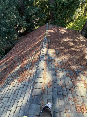 Roof cleaning - The home owners insurance company requested that the homeowners roof is cleared of debris and moss or lose their insurance coverage. We came in and cleared the debris and moss and then treated it to prevent any more organic growth satisfying the insurance companys request.