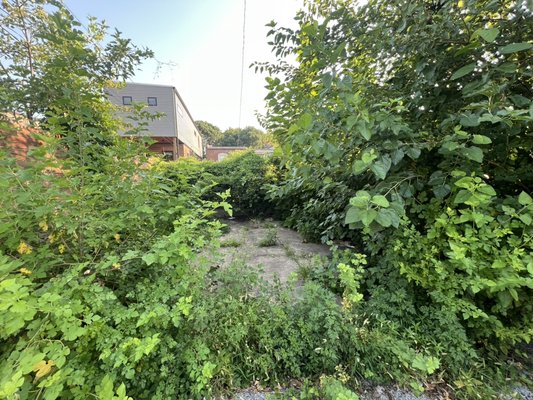 Yard Clean Up - From jungle to jaw-dropping! 🌿✨
Nothing beats the satisfaction of a great before & after. Ready for your own transformation?
📞 (618) 600-1316
OBR Landscaping LLC Yard Clean Up - From jungle to jaw-dropping! 🌿✨
Nothing beats the satisfaction of a great before & after. Ready for your own transformation?
📞 (618) 600-1316
OBR Landscaping LLC