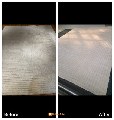 Rug cleaning - Please call 9179249309 today to schedule your rug cleaning appointment. Rug cleaning - Please call 9179249309 today to schedule your rug cleaning appointment.