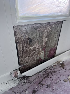 Drywall repairs - Don't let damaged drywall ruin your home's appearance or structural soundness. eliminating cracks, holes, and water damage for a flawless finish. Restore your walls to their original beauty and strength. Fast and efficient drywall repairs, minimizing disruption to your home or business. Get your space back to normal quickly! Drywall repairs - Don't let damaged drywall ruin your home's appearance or structural soundness. eliminating cracks, holes, and water damage for a flawless finish. Restore your walls to their original beauty and strength. Fast and efficient drywall repairs, minimizing disruption to your home or business. Get your space back to normal quickly!