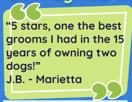 Zoomin’ Past the Competition, One Paw-some Review at a Time! - At Zoomin Groomin, we turn “ruff” days into spa days! Don’t just take our word for it—our furry (and sometimes feisty) clients, along with their humans, have plenty to bark and purr about. From dazzling doggy makeovers to feline facials, our pet-loving pros bring tails wagging and whiskers twitching. Scroll through our paws-itively fetching reviews to see why pets across town are Zoomin’ back for more! Zoomin’ Past the Competition, One Paw-some Review at a Time! - At Zoomin Groomin, we turn “ruff” days into spa days! Don’t just take our word for it—our furry (and sometimes feisty) clients, along with their humans, have plenty to bark and purr about. From dazzling doggy makeovers to feline facials, our pet-loving pros bring tails wagging and whiskers twitching. Scroll through our paws-itively fetching reviews to see why pets across town are Zoomin’ back for more!