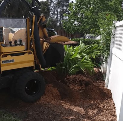 Stump Grinding - Say Goodbye to Stubborn Stumps with Arbor Master Tree & Landscape 🌳💥
Got an unsightly stump ruining your yard? Our professional stump grinding service will remove it quickly and efficiently, leaving your landscape smooth and ready for whatever you have in mind next. At Arbor Master, we use top-of-the-line equipment to grind down stumps safely—no mess, no hassle.