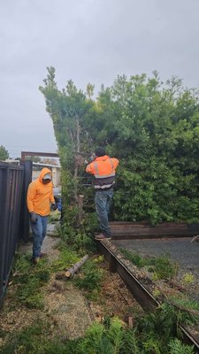 Garden Junk & Yard Waste - From overgrown to open. We handled tree cutting, cleanup, and full debris removal to transform this backyard into a clean, usable space. Garden Junk & Yard Waste - From overgrown to open. We handled tree cutting, cleanup, and full debris removal to transform this backyard into a clean, usable space.