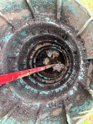 Fayetteville AR - Routine Septic Pumping in Fayetteville, AR ✅
One of the best ways to avoid expensive septic repairs is simple—routine maintenance.
This homeowner in Fayetteville, AR called us for a scheduled septic maintenance pump, allowing us to service the system before problems developed. We thoroughly cleaned the tank, using our specialized equipment to remove accumulated solids and leave the system ready for years of continued use.
As part of every maintenance visit, we also help customers stay ahead of future service. This customer is now on our 4-year maintenance reminder list, so we'll reach out when it's time for the next recommended pumping.
At Advanced Septic, we believe septic pumping should be more than just removing liquid from the tank. We strive to provide a comprehensive service that helps maximize the life of your septic system and gives homeowners peace of mind.
If you're due for septic pumping in Fayetteville, AR, or anywhere in Northwest Arkansas, we'd be happy to help.
📞 479-325-2391
Advanced Septic – Helping homeowners protect their septic systems through proactive maintenance, not emergency repairs. Fayetteville AR - Routine Septic Pumping in Fayetteville, AR ✅
One of the best ways to avoid expensive septic repairs is simple—routine maintenance.
This homeowner in Fayetteville, AR called us for a scheduled septic maintenance pump, allowing us to service the system before problems developed. We thoroughly cleaned the tank, using our specialized equipment to remove accumulated solids and leave the system ready for years of continued use.
As part of every maintenance visit, we also help customers stay ahead of future service. This customer is now on our 4-year maintenance reminder list, so we'll reach out when it's time for the next recommended pumping.
At Advanced Septic, we believe septic pumping should be more than just removing liquid from the tank. We strive to provide a comprehensive service that helps maximize the life of your septic system and gives homeowners peace of mind.
If you're due for septic pumping in Fayetteville, AR, or anywhere in Northwest Arkansas, we'd be happy to help.
📞 479-325-2391
Advanced Septic – Helping homeowners protect their septic systems through proactive maintenance, not emergency repairs.