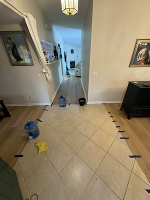 Flooring and more 800 feet demo’d and installed in one day - Flooring and more 800 feet demo’d and installed in one day with a 6.5mm flooring product scratch proof/water proof 22mm wear layer 9inch planks