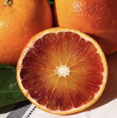 CITRUS TREES - In Season, Fall 2023! - Come check us out at Paradise Nursery for our seasonal Citrus Trees!
Evergreen plants that grow well in full sun. They reach a moderate size in the landscape. Prune to manage their size and shape or to keep small. Trees in backyard landscapes are often kept moderately small to prevent excessive fruit and messy fruit droppings. In-home gardens, plant trees about 10 feet apart, unless you prefer trees to grow wider. CITRUS TREES - In Season, Fall 2023! - Come check us out at Paradise Nursery for our seasonal Citrus Trees!
Evergreen plants that grow well in full sun. They reach a moderate size in the landscape. Prune to manage their size and shape or to keep small. Trees in backyard landscapes are often kept moderately small to prevent excessive fruit and messy fruit droppings. In-home gardens, plant trees about 10 feet apart, unless you prefer trees to grow wider.