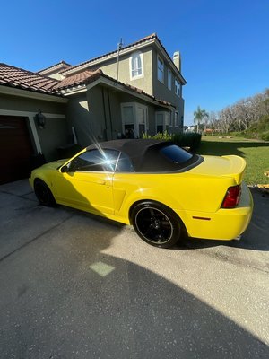 Best part of having a vehicle is keeping it PRISTINE - This Mustang was loved by our customer who wanted a complete revamp of their older vehicle back to a showroom finish Best part of having a vehicle is keeping it PRISTINE - This Mustang was loved by our customer who wanted a complete revamp of their older vehicle back to a showroom finish