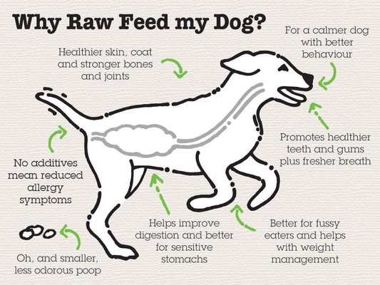 Pet Pro-Tips! - We know dogs. We know healthy. From puppy to old age, no other pet store knows more about keeping your dog healthy & happy. Pet Pro-Tips! - We know dogs. We know healthy. From puppy to old age, no other pet store knows more about keeping your dog healthy & happy.
