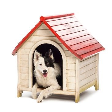 🐶🏠 Board & Train ⭐️ Peace of Mind - The perfect solution for the dog owner who has a full life and a pup who they want to see thrive. 

Pawsitive Dog Training School offers three intensive obedience focused board and train programs at our 9 acre facility.