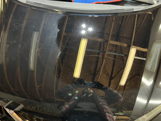 2015 Honda back to life - This 2015 Honda came to us in pretty bad condition, dirt, food, debris, and dog hair everywhere. Stains on all the seats. The paint was very hazy and oxidized. But we brought it back to life after about 10hrs of work 2015 Honda back to life - This 2015 Honda came to us in pretty bad condition, dirt, food, debris, and dog hair everywhere. Stains on all the seats. The paint was very hazy and oxidized. But we brought it back to life after about 10hrs of work