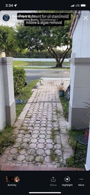 Oil stains/mold/mildew/Weeds removal - Make your house the cleanest of the block! Oil stains/mold/mildew/Weeds removal - Make your house the cleanest of the block!