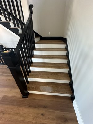 Repairs / Plus Before & Afters! - Multiple Repairs / Plus Before & Afters! Repairs / Plus Before & Afters! - Multiple Repairs / Plus Before & Afters!