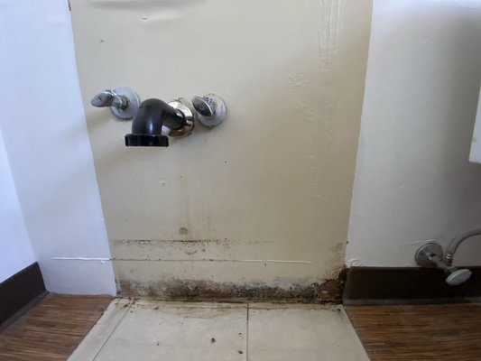 Bathroom mold remediation 07-2021 - This awesome family got the R&M touch to ensure the safety and longevity of their home. With an added bonus of this beautiful upgrade to a slightly more modern transformation. Bathroom mold remediation 07-2021 - This awesome family got the R&M touch to ensure the safety and longevity of their home. With an added bonus of this beautiful upgrade to a slightly more modern transformation.