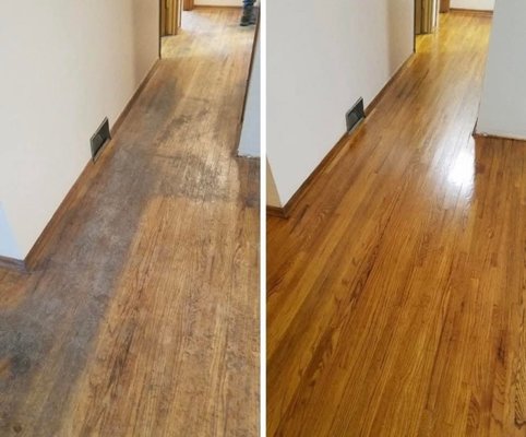 SAND AND FINISH! - Our sanding and refinishing experts carefully restore your hardwood, removing years of wear and adding a protective, glossy finish. Enjoy a seamless, elegant look that transforms your space.
Get in touch with us!
📱Phone: +1 (916) 856-7622
📧E-mail: edgardo@jesflooring.com SAND AND FINISH! - Our sanding and refinishing experts carefully restore your hardwood, removing years of wear and adding a protective, glossy finish. Enjoy a seamless, elegant look that transforms your space.
Get in touch with us!
📱Phone: +1 (916) 856-7622
📧E-mail: edgardo@jesflooring.com