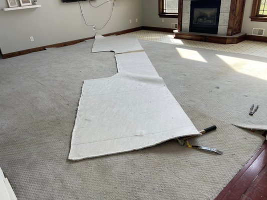 Living room and kitchen makeover - This homeowner wanted their carpet ripped out of the living room and different flooring in the kitchen. Carpets hold dander, dust, dirt, and many other allergens that keep people uncomfortable in their own homes. Hardwood flooring makes it easy to remove those allergens as it doesn't become trapped within the flooring.
Thats what this homeowner wanted, and we delivered!