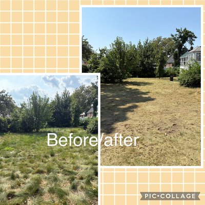 Backyard mowing - 🌿 Before & After Lawn Transformation! 🌿
Another backyard completely transformed!
The grass was extremely thick and heavily overgrown — regular lawnmowers just couldn’t handle it. But we came fully prepared 💪
We used the right equipment for the job and got it done quickly and professionally.
✅ Overgrown lawn? No problem
✅ We have tools for every situation
✅ Full-service cleanup & grass cutting
✅ Fast, reliable, and detail-focused
If your yard looks like the “before” photos — let us take care of it and turn it into a clean and open space you’ll enjoy! Backyard mowing - 🌿 Before & After Lawn Transformation! 🌿
Another backyard completely transformed!
The grass was extremely thick and heavily overgrown — regular lawnmowers just couldn’t handle it. But we came fully prepared 💪
We used the right equipment for the job and got it done quickly and professionally.
✅ Overgrown lawn? No problem
✅ We have tools for every situation
✅ Full-service cleanup & grass cutting
✅ Fast, reliable, and detail-focused
If your yard looks like the “before” photos — let us take care of it and turn it into a clean and open space you’ll enjoy!