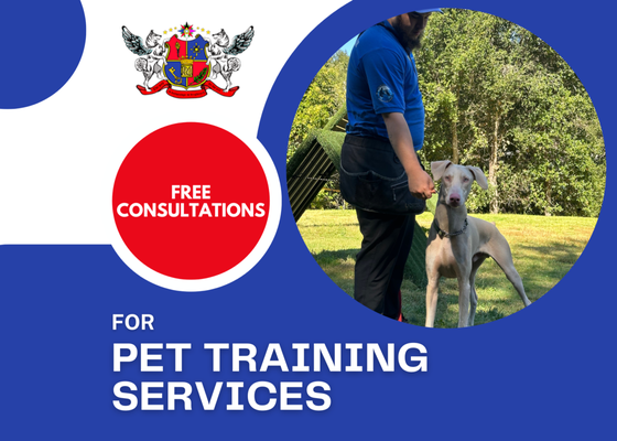 Free Consultations - We provide free consultations for all pet training services! Free Consultations - We provide free consultations for all pet training services!