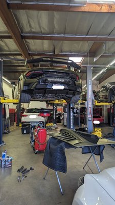 Spring Oil Change/Fuel Injection Cleaning - Maintaining your vehicle regularly is one of the most important things you can do to ensure its longevity and safety on the road. Proper maintenance not only ensures that your vehicle performs at its best, but it also helps to prevent costly repairs down the road. At Strictly German Auto, we take pride in our work and offer a variety of maintenance services to keep your car running smoothly. From tune ups to engine diagnostics, we have you covered.
Factory Scheduled Maintenance
30k/60k/90k/120k Mile Services
Computer Diagnostics
Oil Changes
Tune Ups
Filter Replacements
Safety & Emissions Inspections
Windshield Wiper Blades
Fluid Services
Trip Inspections
Maintenance Inspections
Check Engine Light Diagnostic
Brake Service
Shocks & Struts Repair
Chassis & Suspension Repair
Suspension & Steering Repair Spring Oil Change/Fuel Injection Cleaning - Maintaining your vehicle regularly is one of the most important things you can do to ensure its longevity and safety on the road. Proper maintenance not only ensures that your vehicle performs at its best, but it also helps to prevent costly repairs down the road. At Strictly German Auto, we take pride in our work and offer a variety of maintenance services to keep your car running smoothly. From tune ups to engine diagnostics, we have you covered.
Factory Scheduled Maintenance
30k/60k/90k/120k Mile Services
Computer Diagnostics
Oil Changes
Tune Ups
Filter Replacements
Safety & Emissions Inspections
Windshield Wiper Blades
Fluid Services
Trip Inspections
Maintenance Inspections
Check Engine Light Diagnostic
Brake Service
Shocks & Struts Repair
Chassis & Suspension Repair
Suspension & Steering Repair