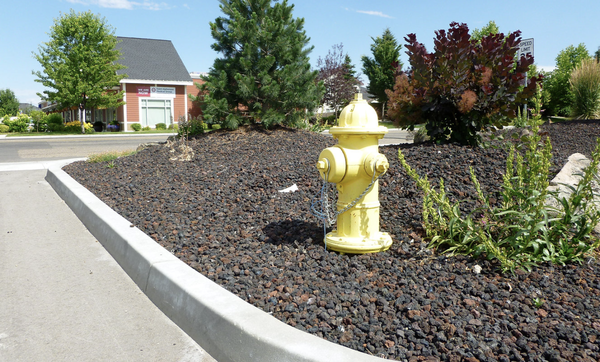 Commercial Curbing - *We offer three styles of commercial curbing. These forms are primarily used in parking lots. All styles are 8 inches wide at the base.
Call us today for a free estimate! Commercial Curbing - *We offer three styles of commercial curbing. These forms are primarily used in parking lots. All styles are 8 inches wide at the base.
Call us today for a free estimate!