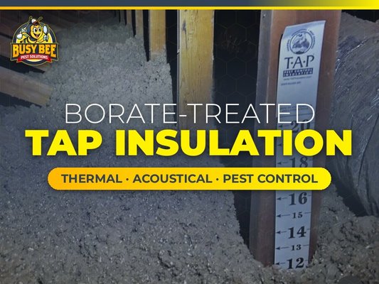 TAP Insulation - TAP insulation is loose-fill cellulose treated with borate, installed in your attic by our in-house insulation crew. TAP stands for Thermal, Acoustical, Pest control, and it does all three at once.
Many Valley homes built before the mid-1990s have only R-11 to R-19 in the attic. The Department of Energy recommends R-38 to R-49 for Phoenix. TAP brings your attic up to that range. Its borate treatment also controls ants, cockroaches, silverfish, termites and other listed insects for as long as the insulation stays dry and in place, with no annual retreatment.
How a TAP job works:
Seal the entry points so pests can’t get back in.
Protect your home. We mask off walkways and rooms before anything comes out of the attic.
Clear out damaged or contaminated insulation where needed, down to clean decking.
Install TAP to the target depth, with a depth marker so you can see exactly what you got.
Free inspection and a written quote before any work starts. Financing is available. Most blow-over installs are done in one day. TAP Insulation - TAP insulation is loose-fill cellulose treated with borate, installed in your attic by our in-house insulation crew. TAP stands for Thermal, Acoustical, Pest control, and it does all three at once.
Many Valley homes built before the mid-1990s have only R-11 to R-19 in the attic. The Department of Energy recommends R-38 to R-49 for Phoenix. TAP brings your attic up to that range. Its borate treatment also controls ants, cockroaches, silverfish, termites and other listed insects for as long as the insulation stays dry and in place, with no annual retreatment.
How a TAP job works:
Seal the entry points so pests can’t get back in.
Protect your home. We mask off walkways and rooms before anything comes out of the attic.
Clear out damaged or contaminated insulation where needed, down to clean decking.
Install TAP to the target depth, with a depth marker so you can see exactly what you got.
Free inspection and a written quote before any work starts. Financing is available. Most blow-over installs are done in one day.