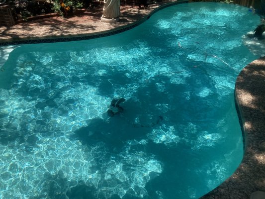 Full Service - Our esteemed customer recently experienced a transformative pool cleaning service that left them delighted and amazed. In the "before" photo provided, the pool appeared to be in a woeful state, marred by a plethora of debris that had accumulated over time. However, our dedicated team, armed with their expertise and unwavering commitment, diligently tackled the task at hand. With meticulous care and precision, they meticulously removed every last speck of debris, breathing new life into the pool. The "after" photo is a testament to their exceptional workmanship, showcasing a pool that now gleams with pristine clarity and invites refreshing dips. Our customer was overjoyed with the remarkable transformation, expressing their utmost satisfaction and appreciation for our services. It is the resounding success stories like these that drive us to continue delivering top-notch pool maintenance and customer satisfaction. Full Service - Our esteemed customer recently experienced a transformative pool cleaning service that left them delighted and amazed. In the "before" photo provided, the pool appeared to be in a woeful state, marred by a plethora of debris that had accumulated over time. However, our dedicated team, armed with their expertise and unwavering commitment, diligently tackled the task at hand. With meticulous care and precision, they meticulously removed every last speck of debris, breathing new life into the pool. The "after" photo is a testament to their exceptional workmanship, showcasing a pool that now gleams with pristine clarity and invites refreshing dips. Our customer was overjoyed with the remarkable transformation, expressing their utmost satisfaction and appreciation for our services. It is the resounding success stories like these that drive us to continue delivering top-notch pool maintenance and customer satisfaction.