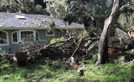 Homeowners Insurance Claims - Storm Damage - At Willis, Willis & Willis Public Adjusters, we specialize in expertly handling storm claims with precision and care. Our experienced team understands the unique challenges that come with such claims and is equipped to navigate the complexities of the process on behalf of our clients. From assessing damages to negotiating with insurance carriers, we ensure that policyholders receive the maximum compensation they rightfully deserve. With a commitment to excellence and client advocacy, we strive to alleviate the stress and uncertainty that often accompany storm-related losses. Trust Willis, Willis & Willis to be your dedicated partner in resolving storm claims efficiently and effectively.